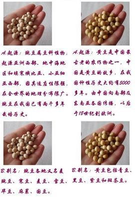 豌豆是黄豆吗 怎么区分干豌豆和干黄豆