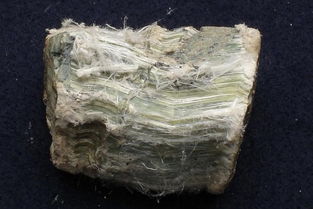 豆瓣绿用深盆还是浅盆 豆瓣绿的危害有多大