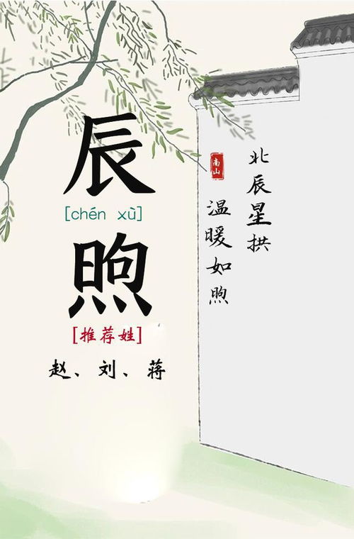 象征朝气蓬勃的花 象征阳光乐观的花