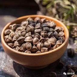 辣木籽一个月能瘦几斤 吃辣木籽三个月的变化
