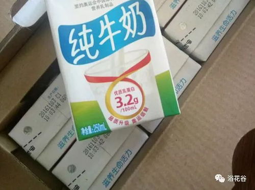 过期牛奶能浇花吗适合浇什么花 过期牛奶浇菜效果如何