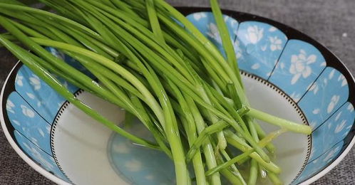 过了立秋要种哪些菜 立秋后种菜表