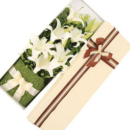 送恩师什么花 代表师恩的花