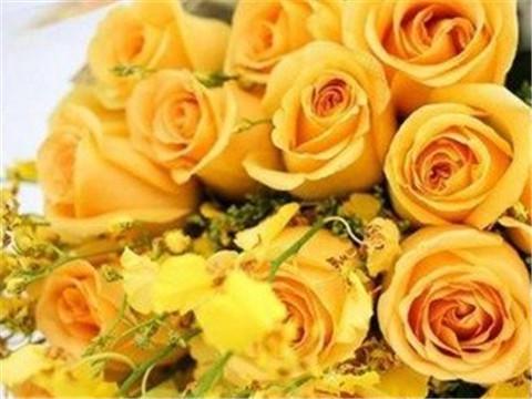 送黄玫瑰代表分手吗 黄玫瑰送几朵代表分手