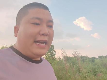 适合立秋后种的蔬菜有哪些 立秋后种菜表