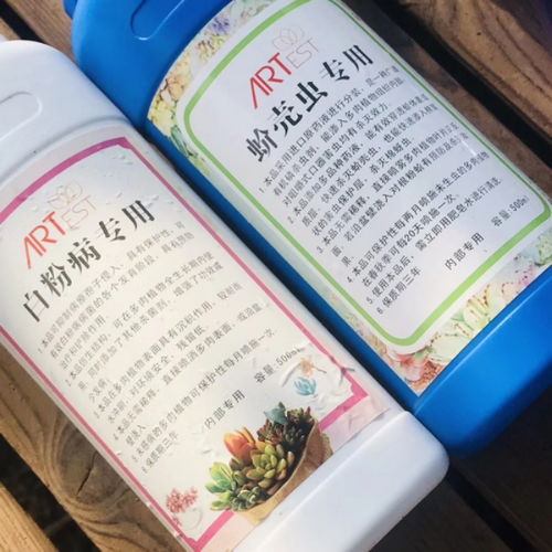 酒精能杀死蟑螂吗 蟑螂怕75%的酒精吗