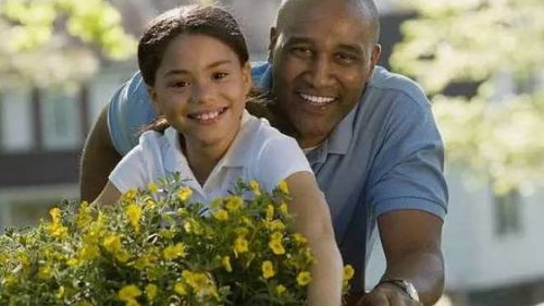 适合送给爸爸的花 向日葵适合送什么人