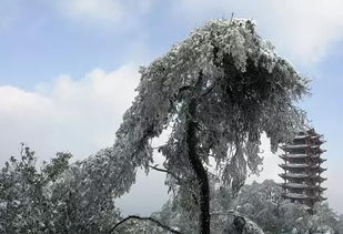 重庆一般几月份下雪 重庆多少年下一次雪