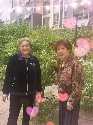 采菊的另一层意思是什么 菊花暗示啥意思