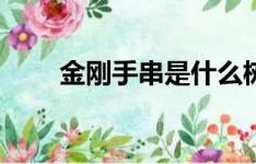 金刚是什么树的种子 金刚手串是什么树的核