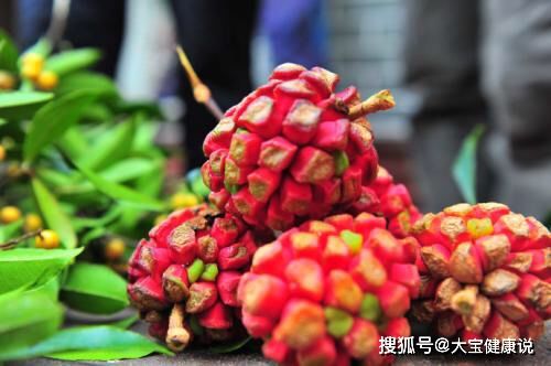 野菠萝能治什么病 野菠萝的吃法有几种