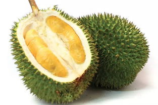 金枕榴莲没开口算不算熟 金枕榴莲有点绿但是有点开口