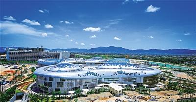 金弹子修剪时间和方法 金弹子为什么9月修剪呢