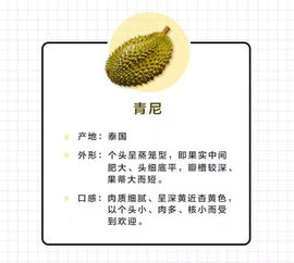 金枕和青尼哪种好吃 榴莲品种排名最好吃的