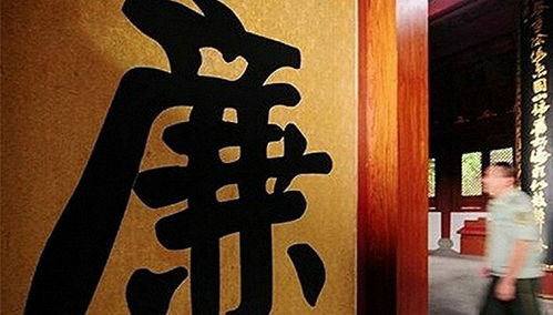 金钱树用土还是用沙子 开门见金钱树的大忌