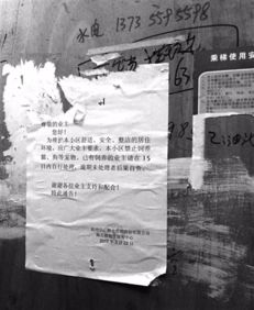 金蝉禁止养殖通知 养金蝉的十大禁忌