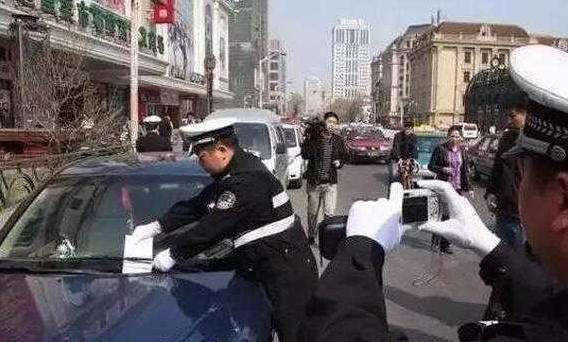 金蝉苗一克有多少只 金蝉一亩地种几万只