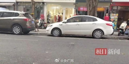 铁树果吃了会死人吗 铁树果吃一粒会死吗