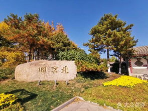 银杏树必须两个一起种吗 银杏树有灵性吗