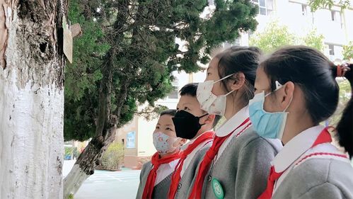 银杏什么活化石,什么开花满院香 活化石满院香这首诗