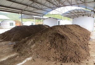 锯木屑怎样制作肥料 木渣怎么发酵成有机肥