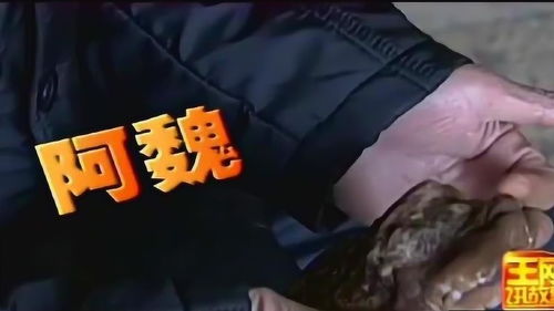 长在死人身上的蘑菇 死人心脏长蘑菇