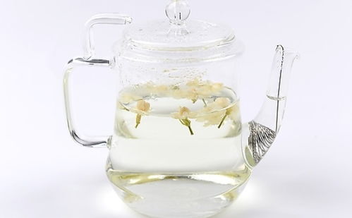 长期喝茉莉茶有什么危害 长期喝茉莉花茶有什么好处