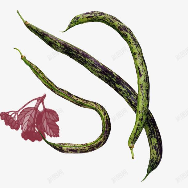 长豆角和四季豆的区别 四季豆是不是就是豆角