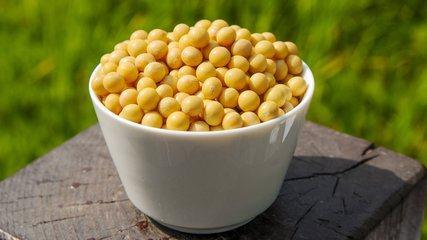 降血糖十大蔬菜排名 降糖最好的食谱大全