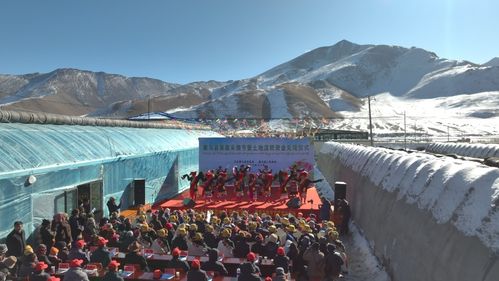 阳光玫瑰好还是晴王好 晴王贵还是阳光玫瑰贵