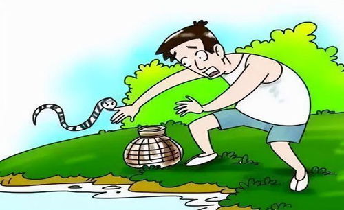 雄黄驱蛇多久撒一次 如何用雄黄粉驱蛇