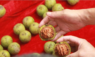 青皮核桃仁吃多了的危害 鲜核桃一天吃几个最好