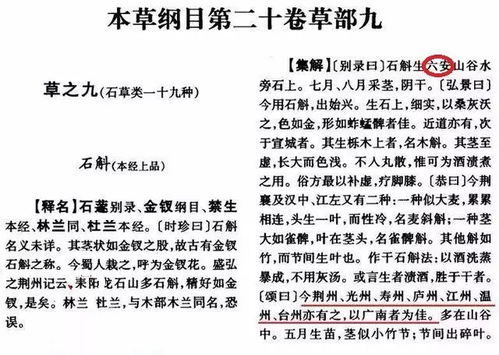 霍山石斛什么人不能吃 一斤霍山石斛的价格