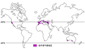 青岛属于海洋性气候吗 中国唯一地中海气候