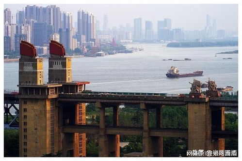 青鱼石为什么不能沾水 5大生肖不宜戴青鱼石