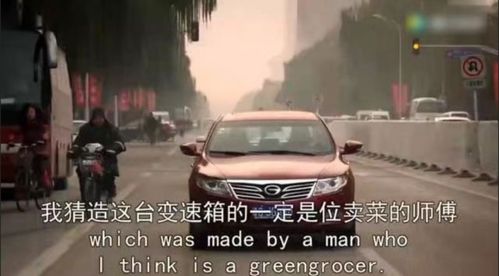 风滚草怎么吃 中国风滚草真实照片