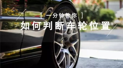 飞蛾有必要打死吗 飞蛾碰过的地方脏吗