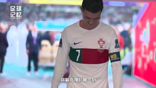 饲料分为八大类分别是 饲料添加剂三大类