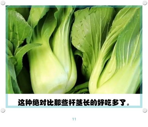 食用小苏打可以吃吗 小苏打误当作盐炒菜了能吃吗