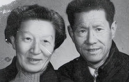 香草别名叫什么 民间俗称的香草是什么