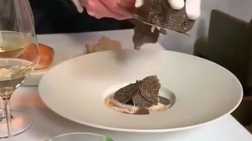 食用黑松露的禁忌 长期吃黑松露的危害