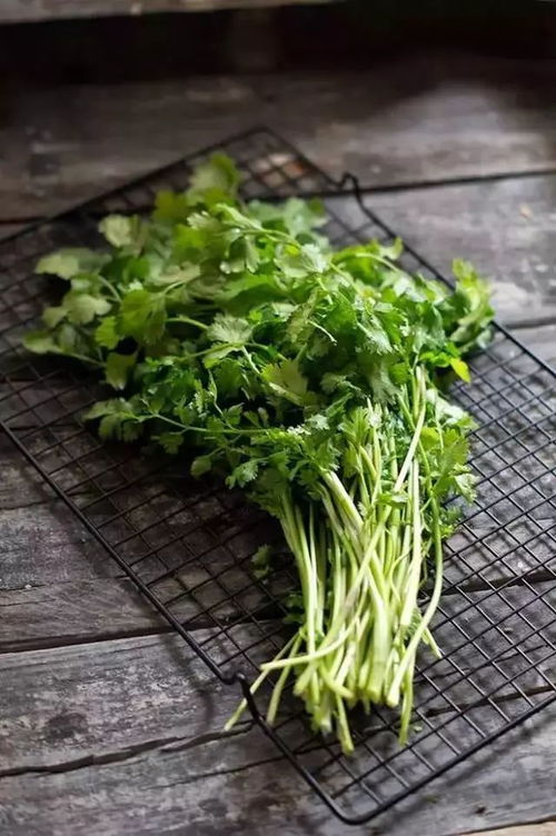 香菜和芫荽的区别 香菜和芫荽的区别和功效视频