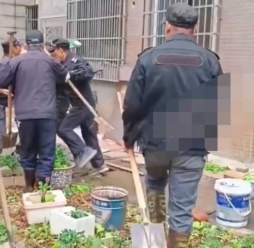 骨粉的正确施肥方法 骨粉肥种菜用量