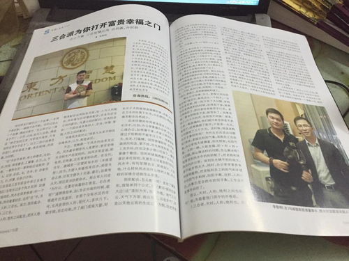 马醉木寓意是什么意思 做生意买什么绿植招财