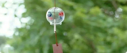 驱蚊竹柏对人体有害吗 驱蚊竹招财还是破财
