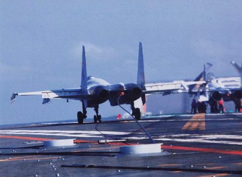 马醉木插水里能养多久 马醉木为啥不卖带根的