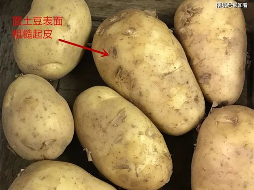 马铃薯和土豆一样吗 怎么区分马铃薯和土豆