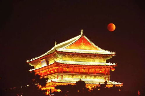 高粱米提前泡一晚上吗 泡了一夜的高粱米煮多久