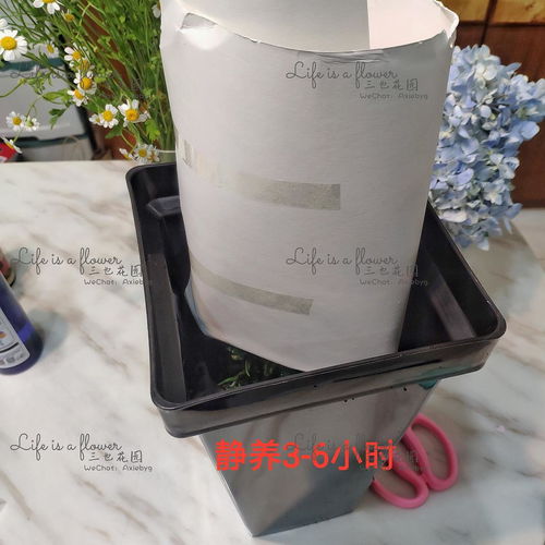 鲜花深水醒花泡一夜可以吗 深水醒花如何保存