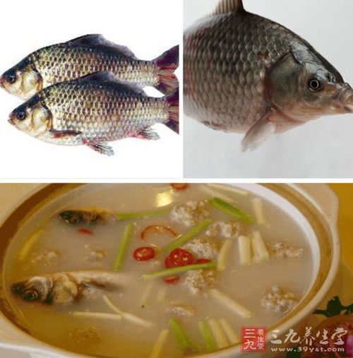 鲫鱼吃小鱼吗 鲫鱼吃3到5厘米小鱼吗